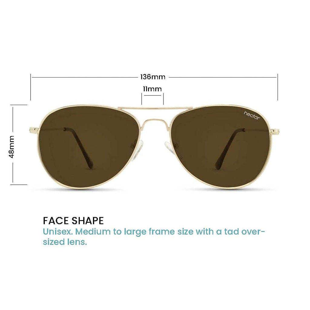 Kitty Hawk Polarized Aviator Sunglasses – Stainless Steel | Nectar