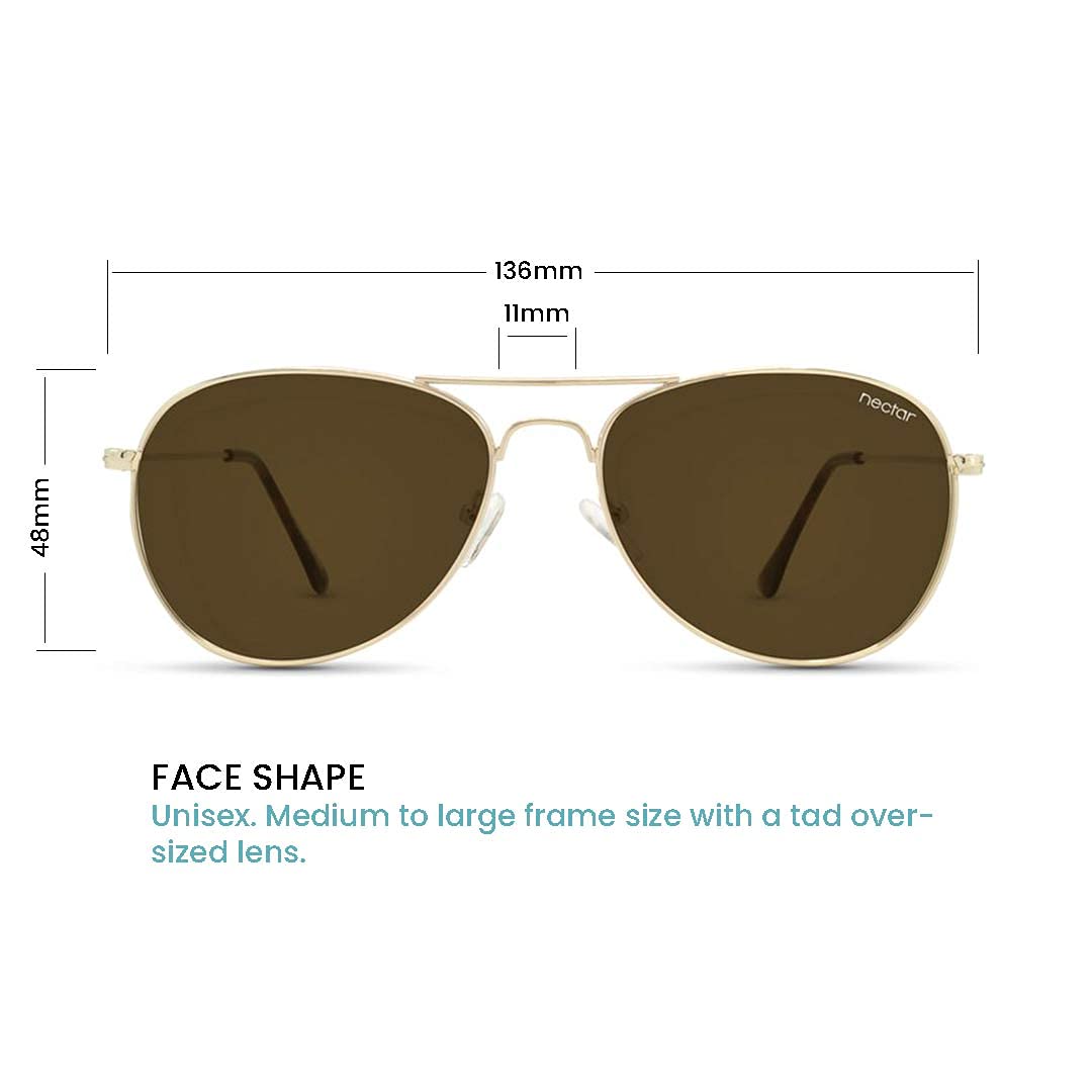 Kitty Hawk Polarized Aviator Sunglasses – Stainless Steel | Nectar