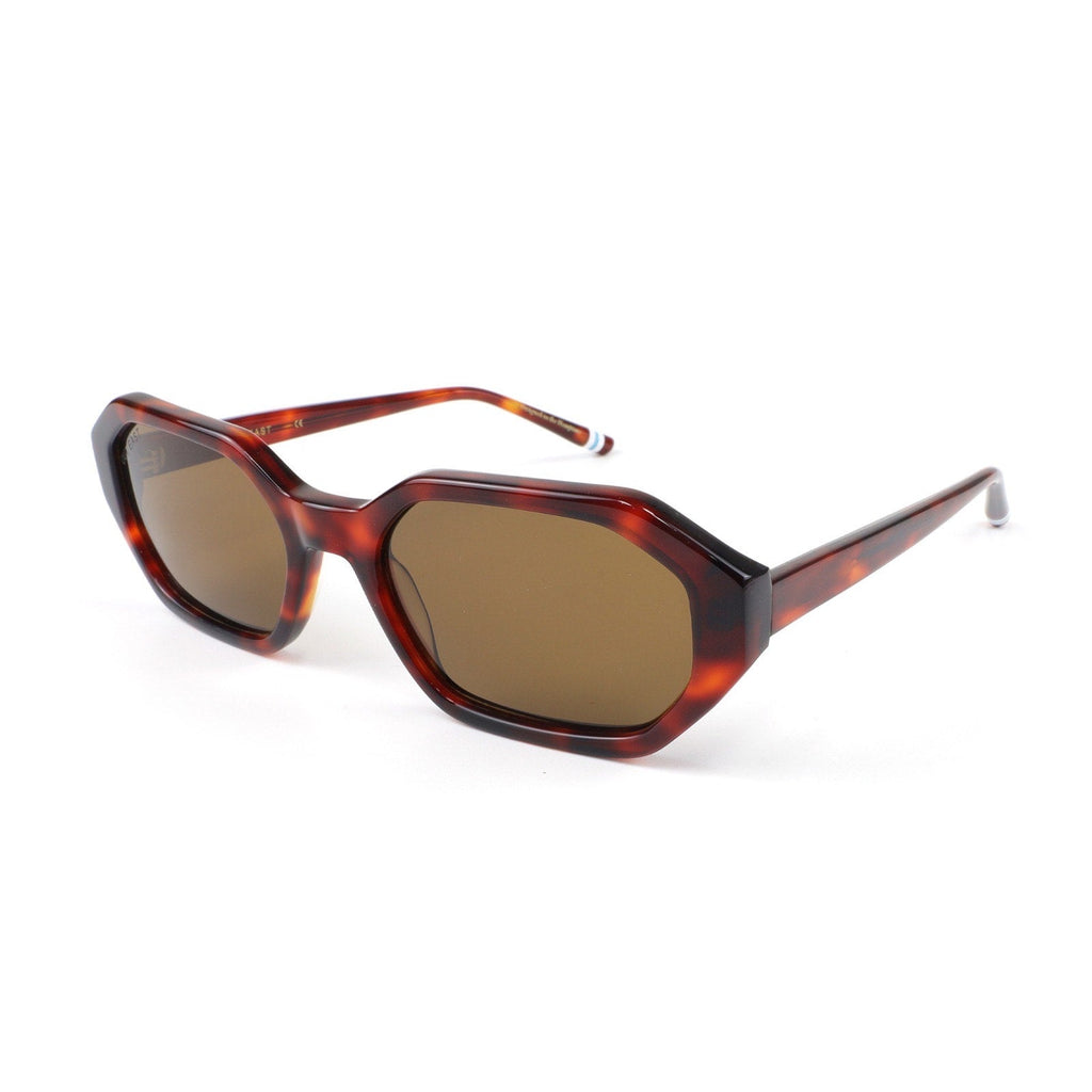 Seaview Polarized Hexagonal Sunglasses | Out East Eyewear