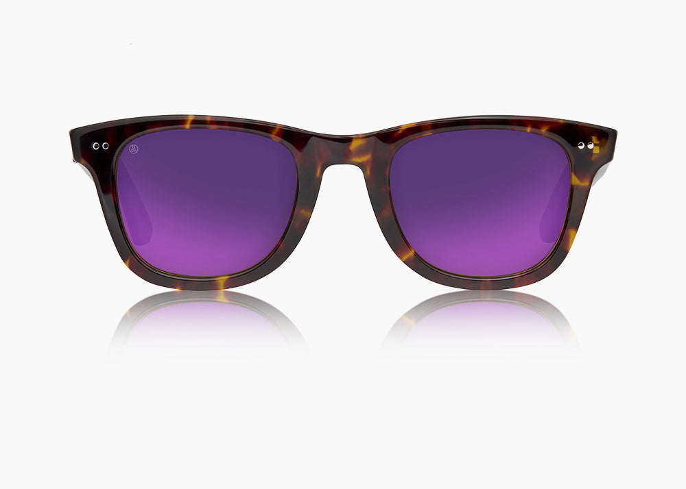 Beachcomber Polarized Sunglasses