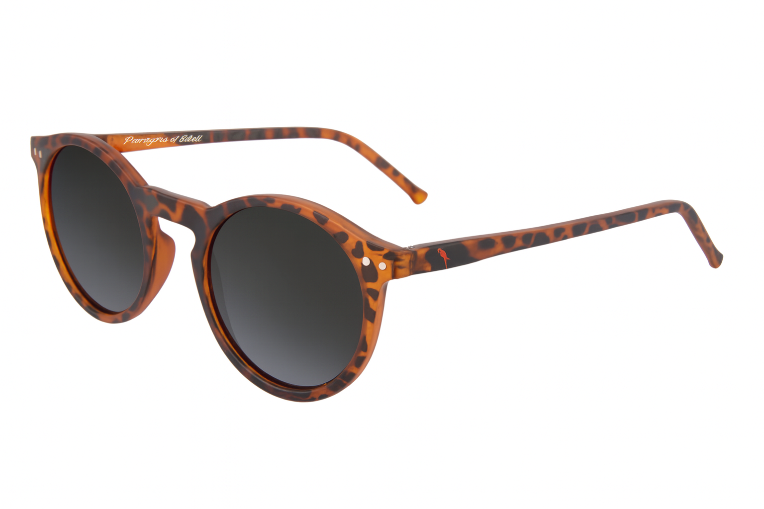 Latitudes Polarized Sunglasses – Limited Edition | Island Time Sunglasses