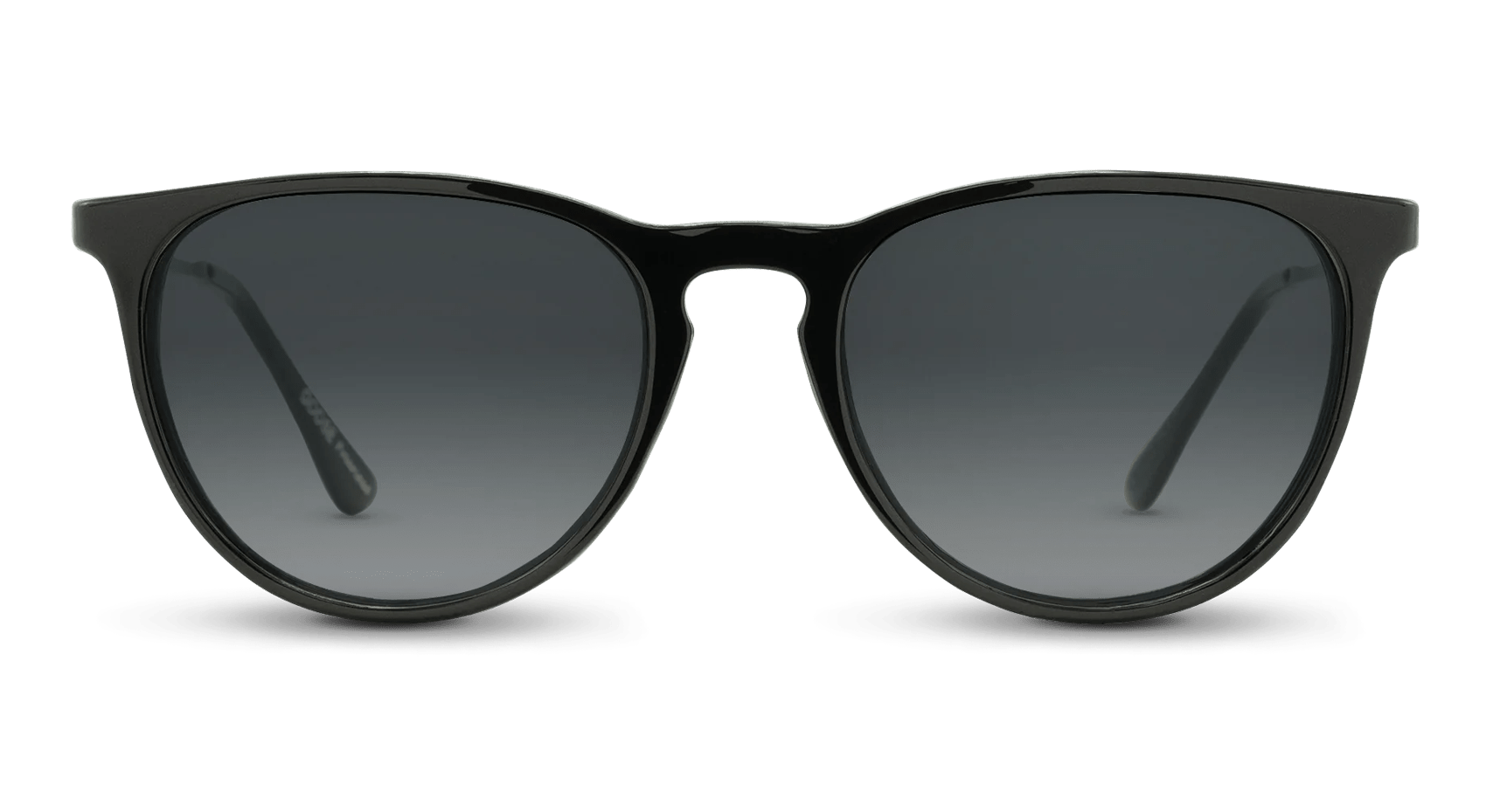 Shockoe Oversized Round Sunglasses | Nectar