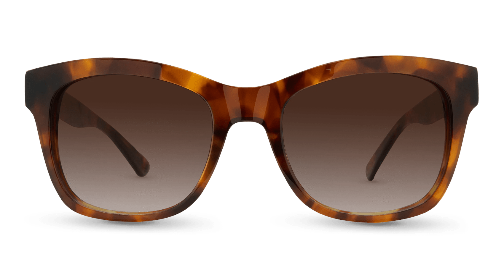 Luray Cat Eye Sunglasses – Handcrafted Acetate Women’s Frames | Nectar