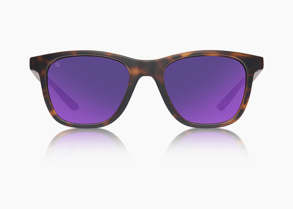 Monti Polarized Sunglasses