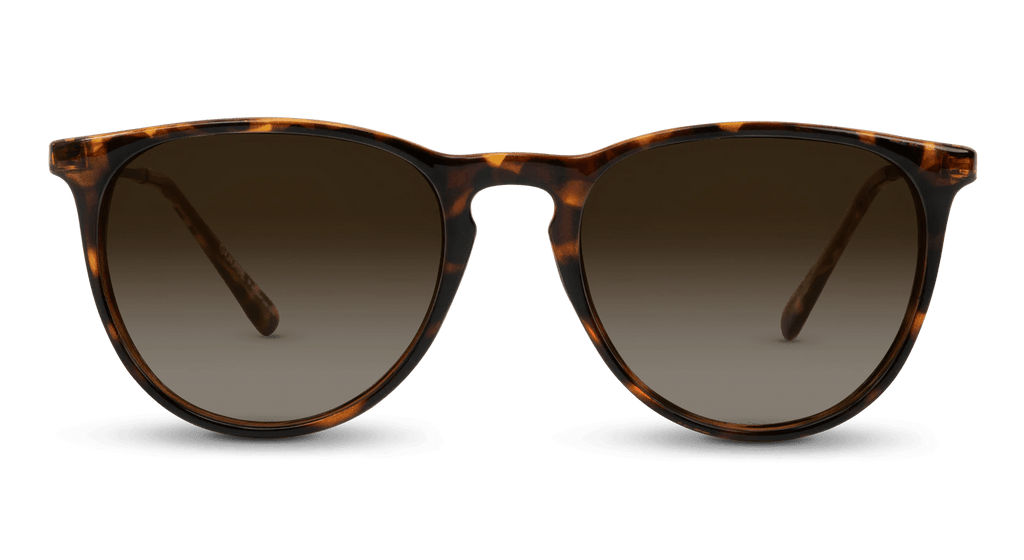 Shockoe Oversized Round Sunglasses | Nectar
