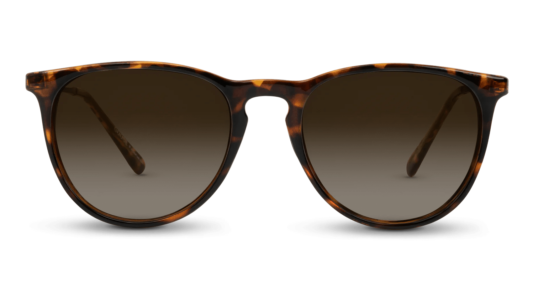 Shockoe Oversized Round Sunglasses | Nectar