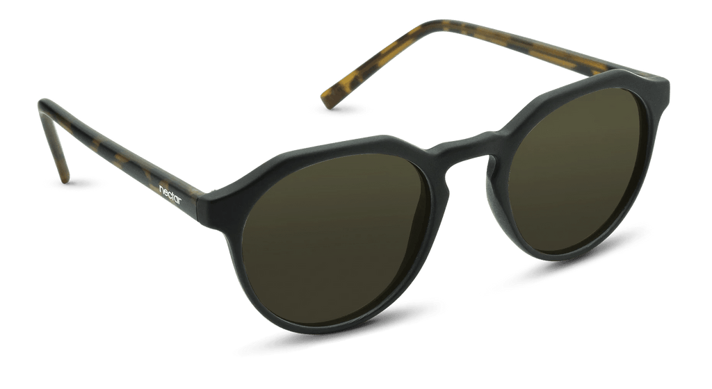 Wynwood Compact Round Sunglasses | Nectar