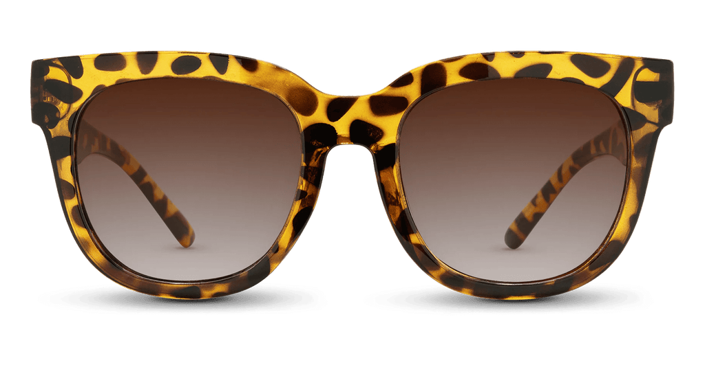 Chatham Polarized Oversized Square Sunglasses – Women’s Bold Style | Nectar