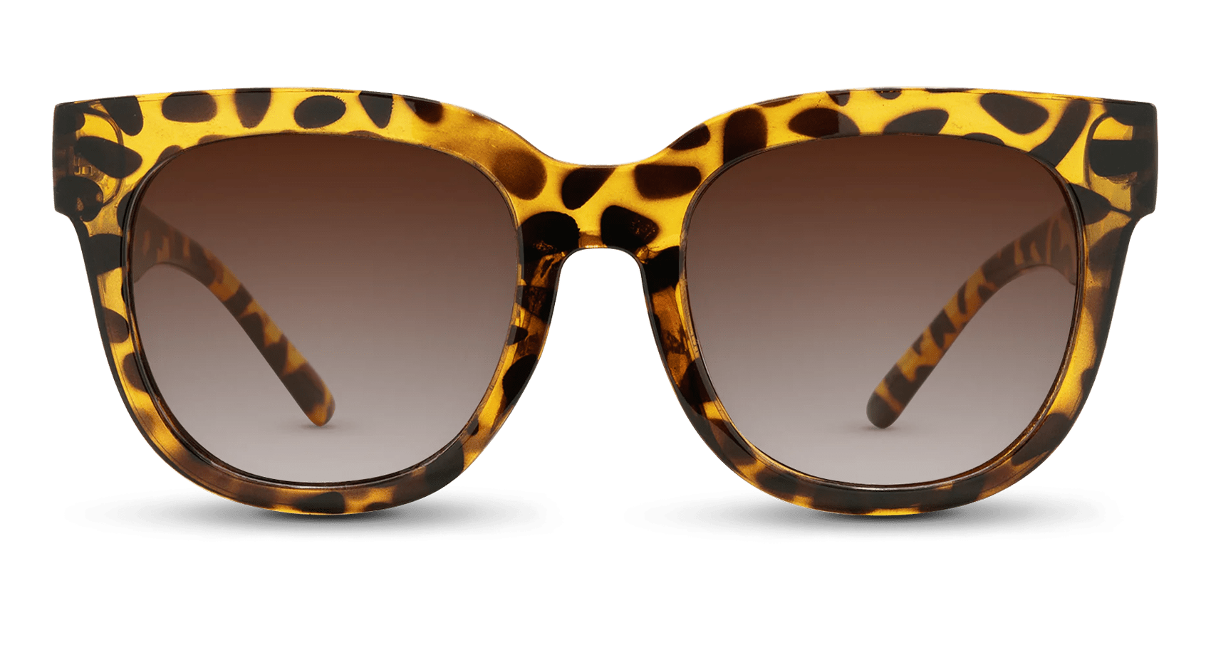 Chatham Polarized Oversized Square Sunglasses – Women’s Bold Style | Nectar