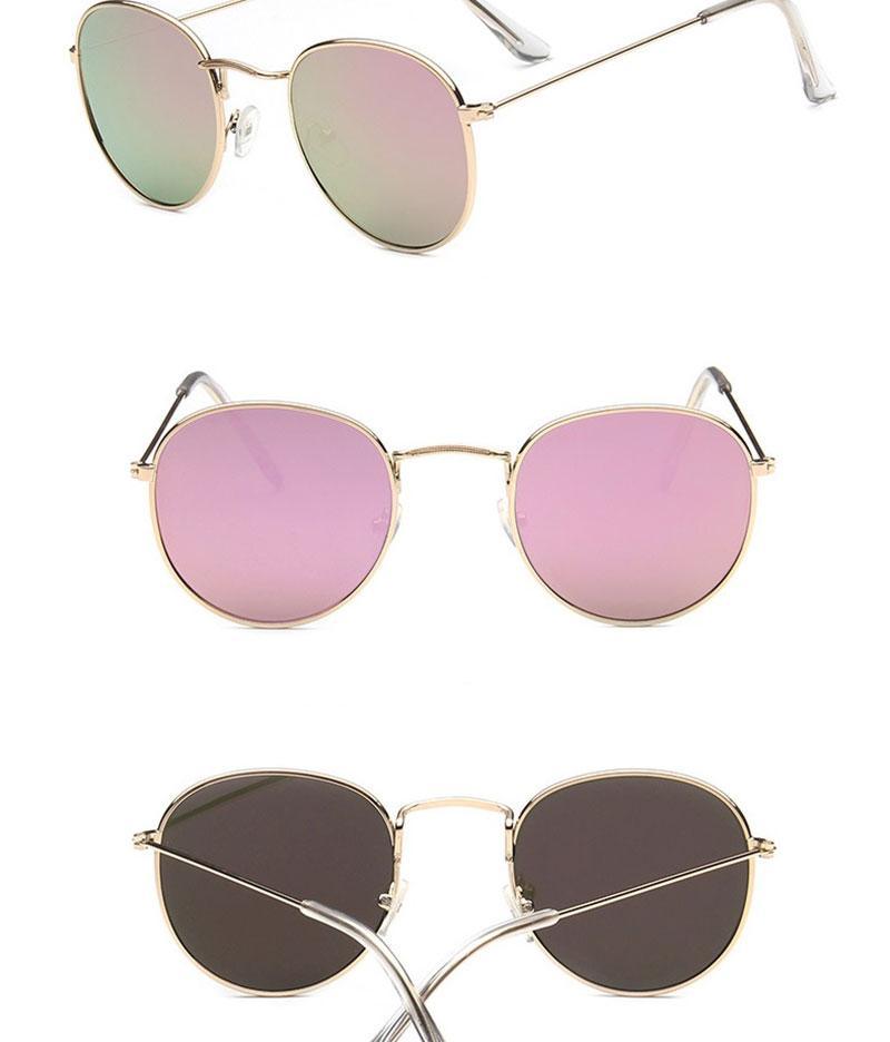 Stevvex round shape UV protected sunglasses for women and men, lightweight fashion glasses ideal for driving, sports, and outdoor activities.