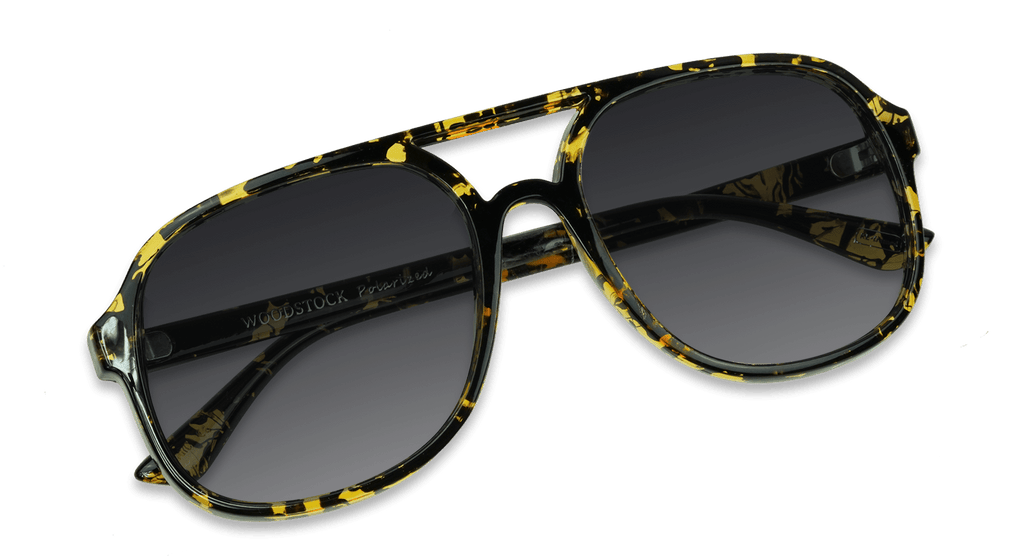 Woodstock Polarized Round Sunglasses – Retro Navigator Style | Nectar