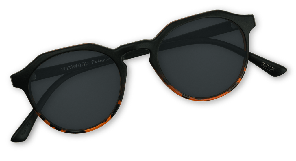 Wynwood Compact Round Sunglasses | Nectar